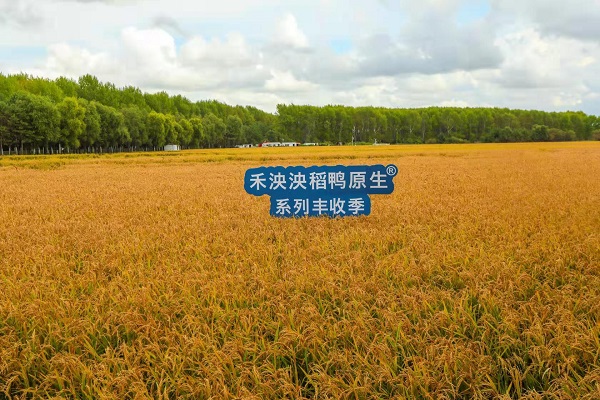 探索嬰幼兒輔食市場高質量發展之路，為寶寶成長保駕護航