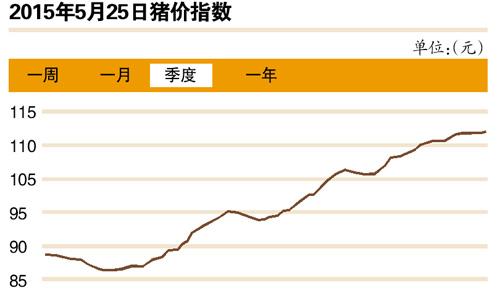 5月豬股伴豬價齊“飛” 可能助推CPI上漲